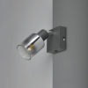 CADIZ/1 SPOT LAMPA ANTRACIT - Slika 6
